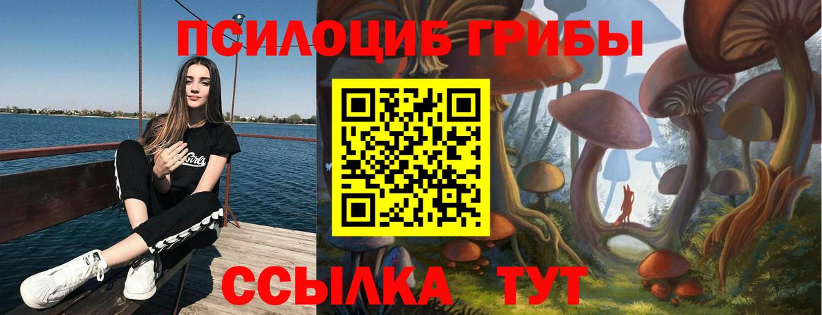 Кириши  Псилоцибиновые грибы мицелий  Вход с VPN 